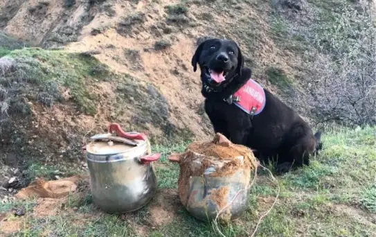 Bingöl'de düdüklü tencerelere yerleştirilmiş EYP bulundu