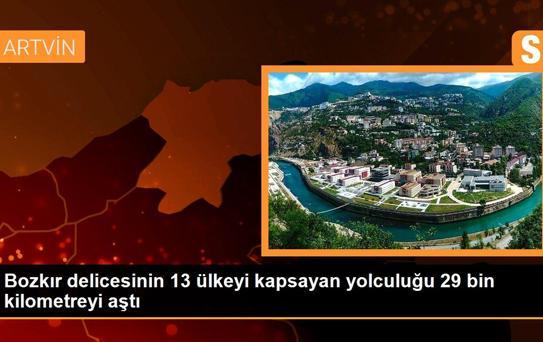 Bozkır delicesinin 13 ülkeyi kapsayan yolculuğu 29 bin kilometreyi aştı