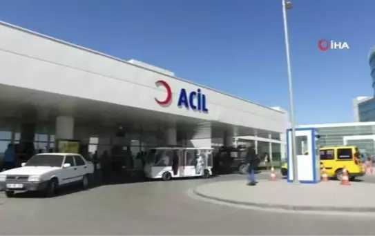 Türkiye'de 2010'dan beri yerli sıtma vakası görülmüyor