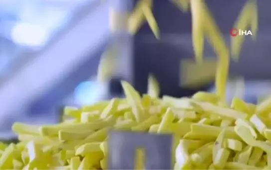 Uzmanından dondurulmuş gıdalar için önyargıları yıkan yorum
