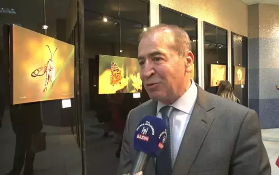 Ankara'nın Kelebek Dünyası Başkentlilerle Buluştu