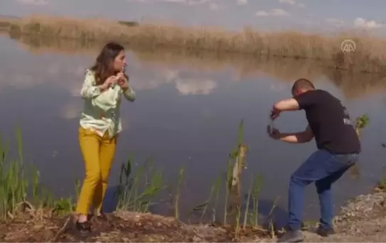 AFYONKARAHİSAR - Eber Gölü'nde doğanın canlanmasına video kliple dikkat çekildi