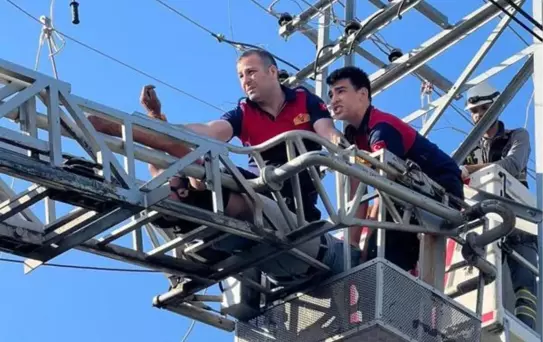 Son dakika haberi... Çıktığı elektrik direğinde akıma kapılıp öldü