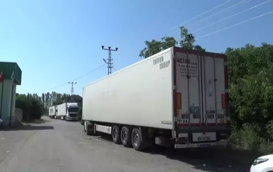 Iğdır'da Yetişen Kayısılar İhraç Ediliyor, Satıcılar Şikayetçi: Gönderdiğimiz Araçlar, Samsun'dan Gemilerle Geliyor. Gemi de Günde Bir Tane Var.