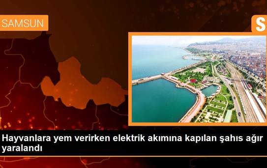 Hayvanlara yem verirken elektrik akımına kapılan şahıs ağır yaralandı
