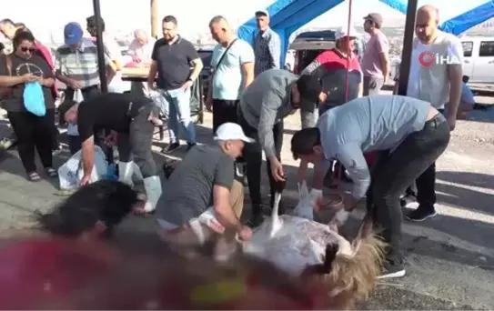 Namazdan çıkan vatandaşlar kurbanlarını kesti