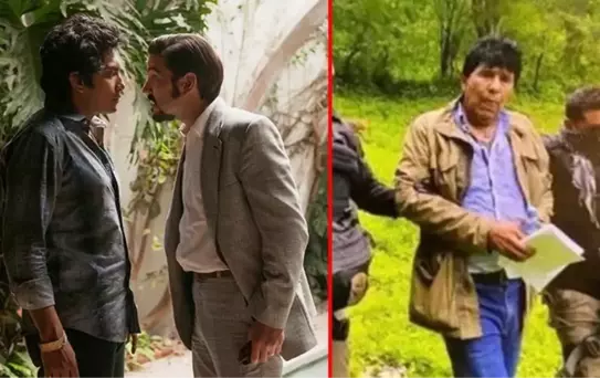 Dizilere konu olan uyuşturucu karteli kurucusu, eğitimli köpek tarafından çalıların arasında yakalandı