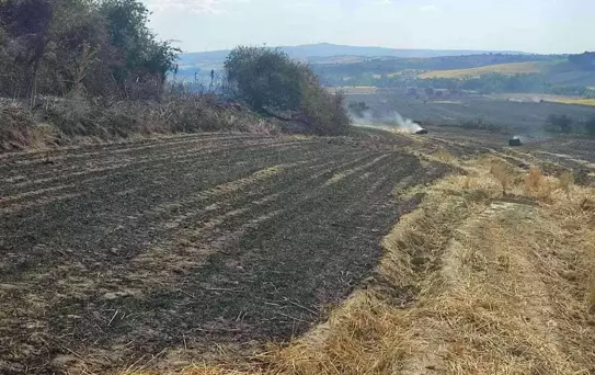 Malkara'da 380 dönüm buğday tarlası kül oldu