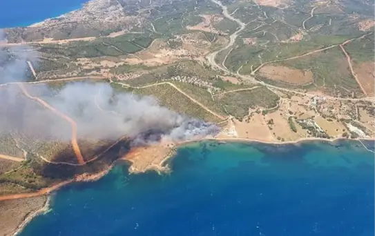 İzmir Seferihisar'da orman yangını (2)
