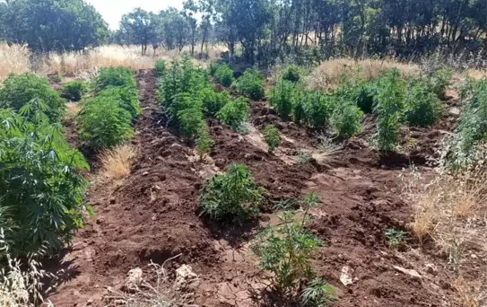 Diyarbakır'da 'Eren Abluka-28 Şehit Jandarma Uzman Çavuş Mehmet Arıyeşil' operasyonu başlatıldı