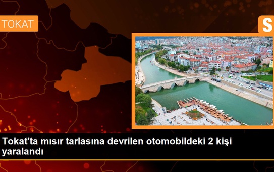 Tokat'ta mısır tarlasına devrilen otomobildeki 2 kişi yaralandı