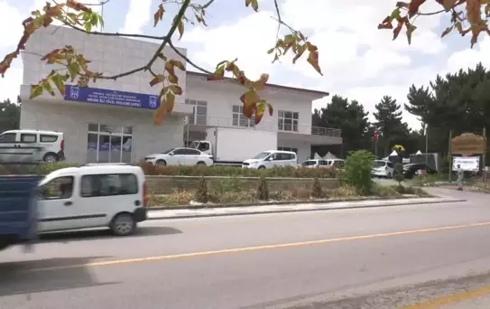 Engelli Vatandaşlar Ankara Büyükşehir'in Pikniğinde Bir Araya Geldi