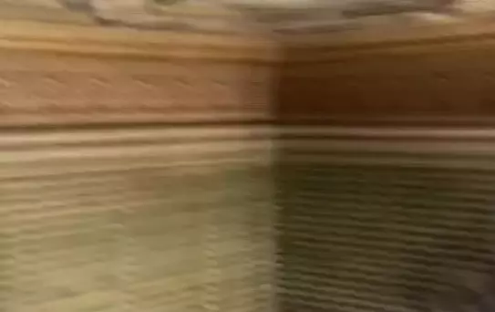 İbb'den Alınarak Hazine'ye Devredilen Fehime ve Hatice Sultan Yalılarının Son Hali Ortaya Çıktı.