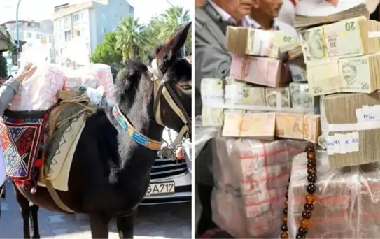 Çanakkale'de katırla 1 milyon 17 bin lira getiren güreş ağası, parayı belediye başkanına teslim etti