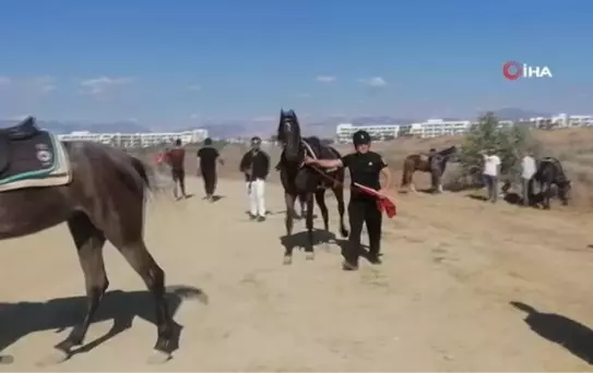 Rahvan atları birincilik için yarıştı