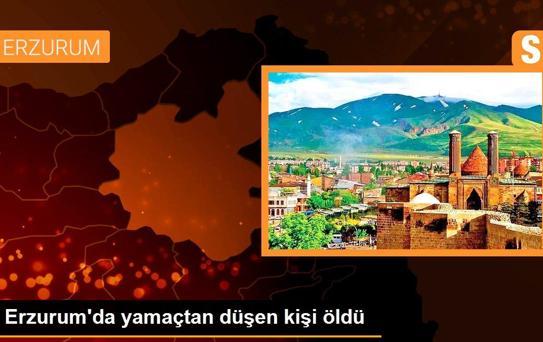 Son dakika haberi! Erzurum'da yamaçtan düşen kişi öldü
