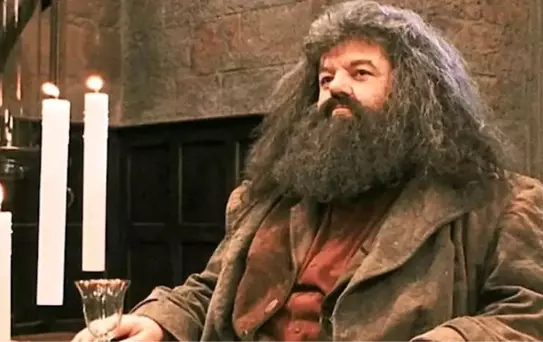 Robbie Coltrane... HARRY POTTER OYUNCUSU HAYATINI KAYBETTİ!