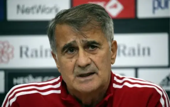 Şenol Güneş: 'Brezilya gibi bir oyun istiyorum' -2-