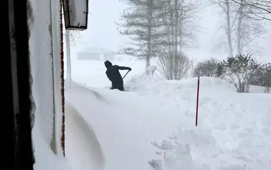 ABD Medyası: Kar Fırtınası Buffalo'da Irksal ve Sınıfsal Ayrımları Körükledi