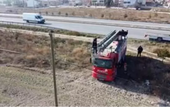 Elektrik direğinin tepesinde mahsur kalan kediyi itfaiye kurtardı
