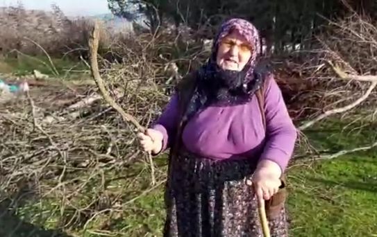 Amasya Çambükü'nde Mera Alanları Ellerinden Alınan Köylüler: 'Bu Taşın İçini mi Bize Layık Görüyorlar?'