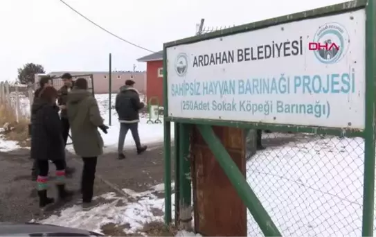 SOĞUKLARLA MÜCADELE EDEN DOĞU'DAKİ BARINAK HAYVANLARINA 40 TON MAMA DAĞITTILAR