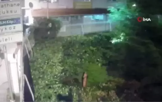 Saplantılı hayranın yargılandığı davada Aleyna Tilki'nin annesi dinlendi