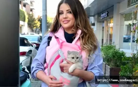 Dikkat! Pusette Kedi Var