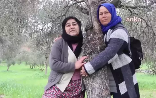 Muğla'daki Kömür Çıkarma İşlemine Karşı 59 Emekli Bürokrat, Rütbeli Asker ve Memurdan Ortak Açıklama: 'Şirket Arkadan Dolanarak Köylülerin Verimli...