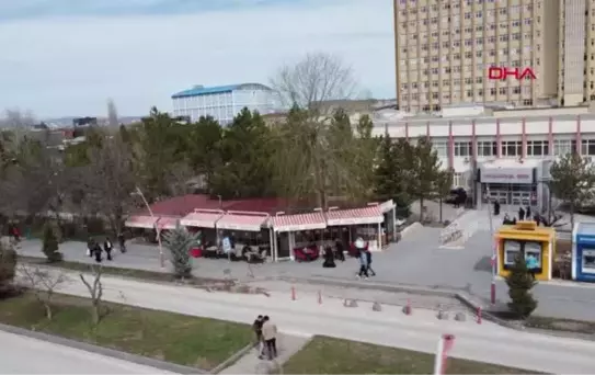 Kestirmeye kıyamadığı 'ağaç' kafenin parçası oldu