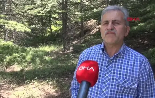 TOKAT-PROFESÖRDEN 'ÖLÜM MELEĞİ' MANTARI UYARISI