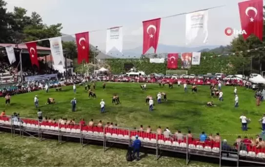 Marmaris Yağlı Güreşlerinin Başpehlivanı Ali Gürbüz Oldu