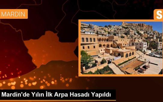 Mardin'de sezonun ilk arpa hasadı yapıldı, çiftçiye altın hediye edildi