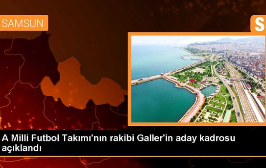 Galler'in aday kadrosu açıklandı