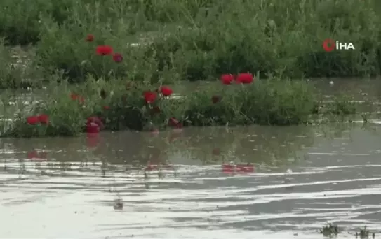 Muş'ta sel felaketinin yaraları sarılıyor