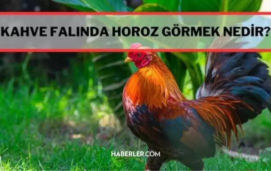 Kahve falında horoz görmek, çıkması! Kahve falı horoz nedir? Kahve falında horoz ne demektir? Kahve falında horoz görmek ne demek? Kahve falında horoz