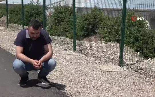 Depremzedeyi 'ticaret yapalım' diye güven sağlayıp 170 bin TL dolandırdılar