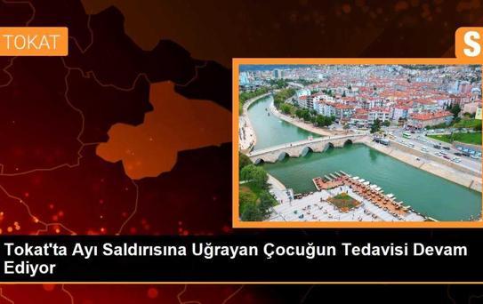 Tokat'ta Ayı Saldırısına Uğrayan 11 Yaşındaki Çocuğun Tedavisi Devam Ediyor