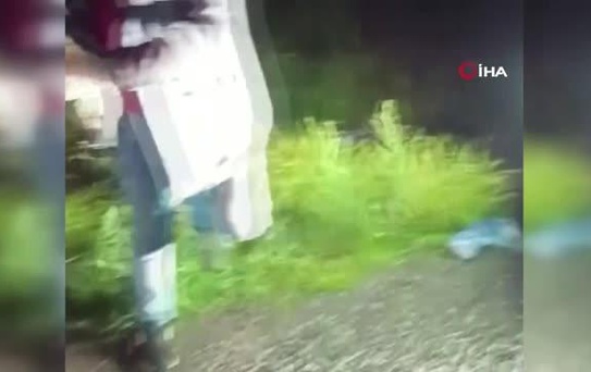 Veteriner hekimler zifte yapışan yavru köpekleri temizlemek için seferber oldu