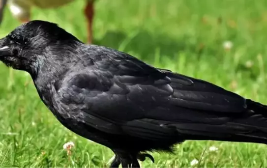 Kargaların özellikleri ve yaşam süreleri araştırılıyor