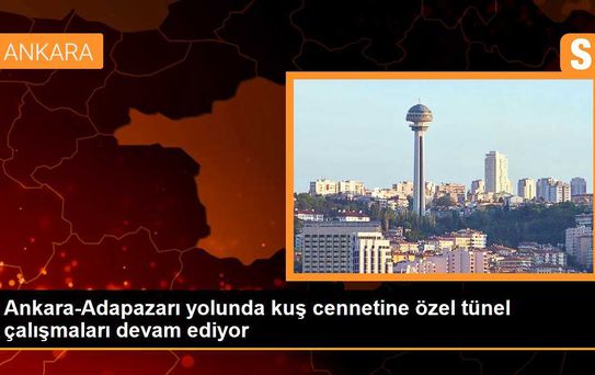 Ankara-Adapazarı kara yolunda kuş cennetine özel tüneller inşa ediliyor