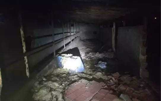 Samsun'da Ahır Yangını: 14 Büyükbaş Hayvan Öldü