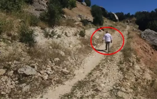 Bayram sabahı kaçan kurbanını bulmak için 3 gündür arazi arazi geziyor