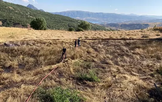 Giresun'da Buğday Tarlasında Yangın: Ekinler Zarar Gördü