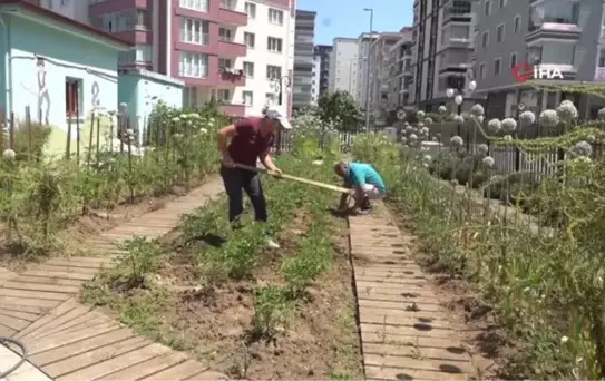 AtaTohum'da yazlık fideler toprakla buluştu