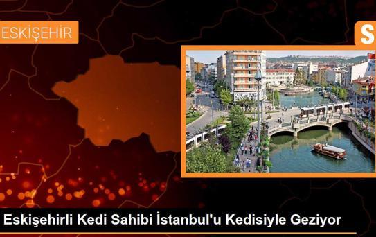 Eskişehirli Kedi Sahibi İstanbul'da Turistlerin İlgi Odağı Oldu