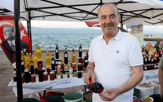 Tirilye Zeytin Şenliği'nde Coşku