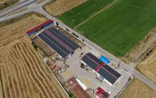 Sivas'ta Süt Çiftliği Güneş Enerjisi Santraline Dönüştü