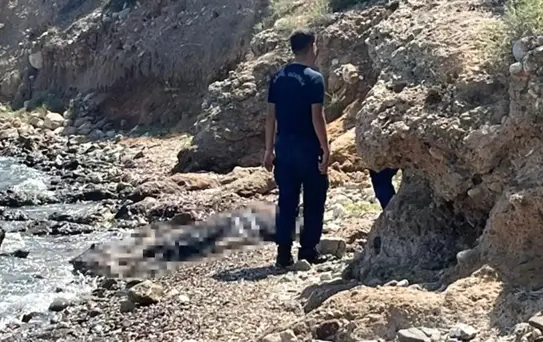 Muğla'nın Datça ilçesinde denizde bir kişinin cesedi bulundu
