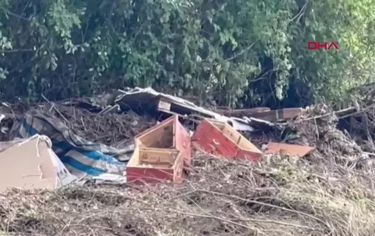 İğneada'da Sel Felaketi: 5 Kişi Hayatını Kaybetti, 1 Kişi Kayıp